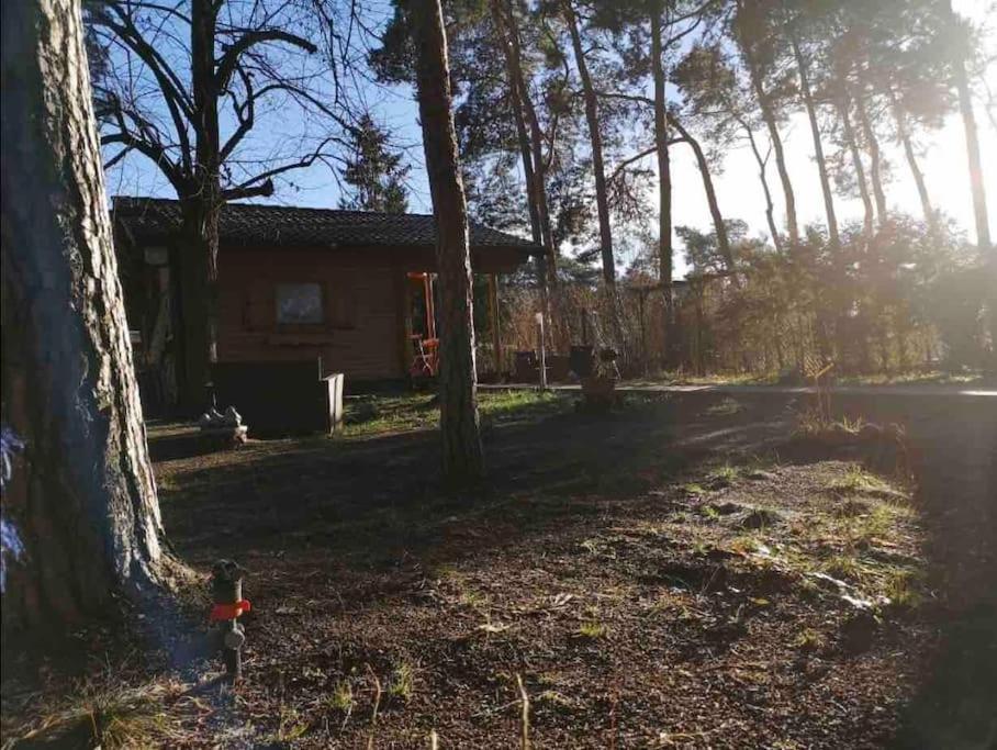Villa Haus Clemens - Gemuetliches Holzhaus Mit Grundstueck Königs Wusterhausen Esterno foto