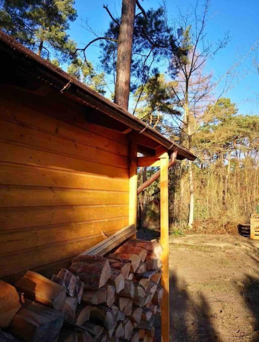 Villa Haus Clemens - Gemuetliches Holzhaus Mit Grundstueck Königs Wusterhausen Esterno foto